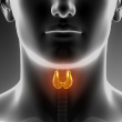 Thyroid